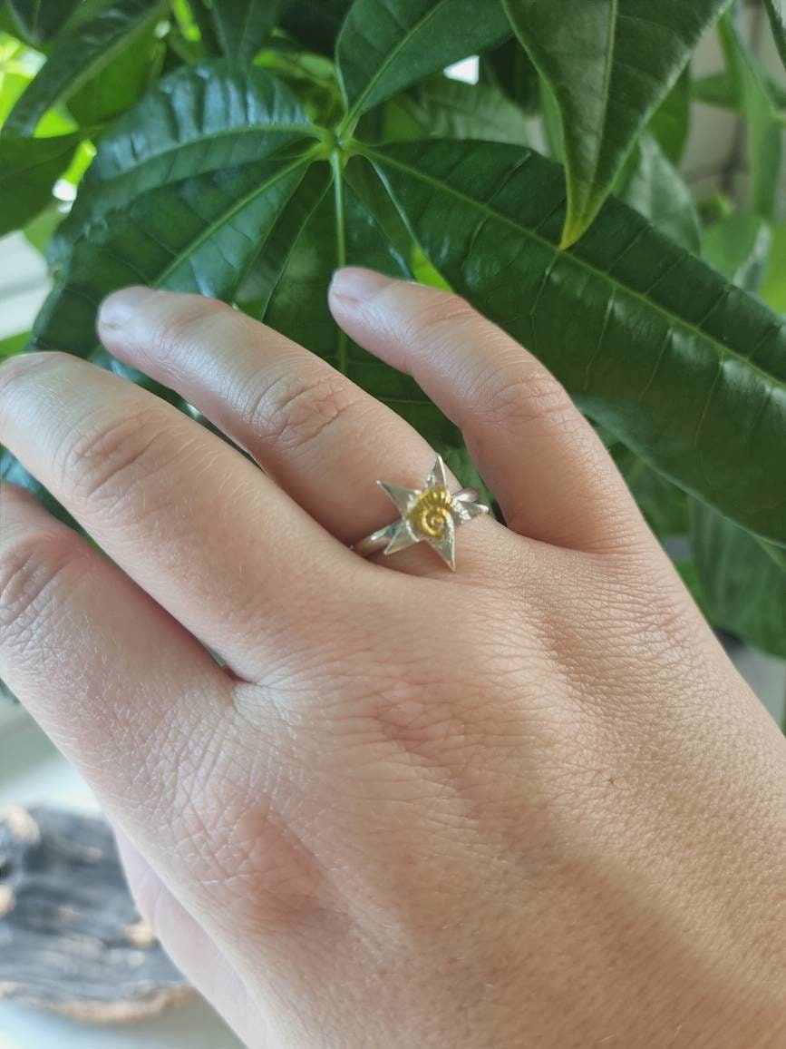 Ammonite Silver Star Ring with 24ct gold