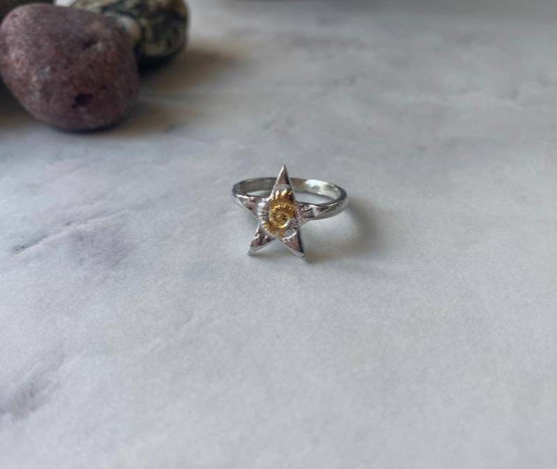 Ammonite Silver Star Ring with 24ct gold