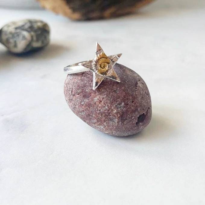 Ammonite Silver Star Ring with 24ct gold